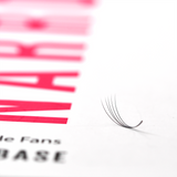 6D Narrow Fans - 700 Fans - LashBase Inc