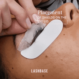 Lifted. Kit - Essential - LashBase Inc
