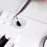Helpful Lash Fan Adhesive Cups (10) - LashBase Inc
