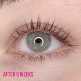 Lash Treatment Serum - LashBase Inc