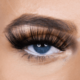 Extra AF - All The Drama - LashBase Inc