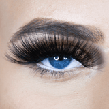 Extra AF - Pure Sass - LashBase Inc