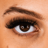 LB10 Volume Strip Lashes - LashBase Inc