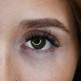 PROeffect+ Full Glam - LashBase Inc