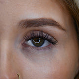 PROeffect+ Textured - LashBase Inc