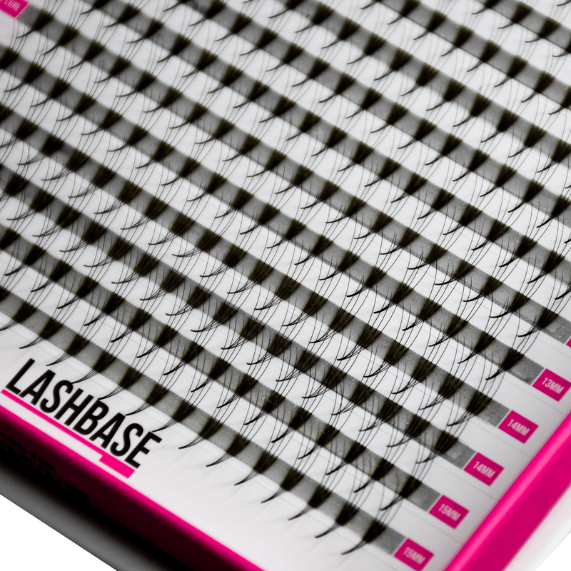 4D Pre Made Volume Fans – XXL Tray - LashBase Inc