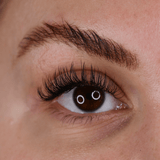 Enhance Collection Lashes 0.12mm - LashBase Inc