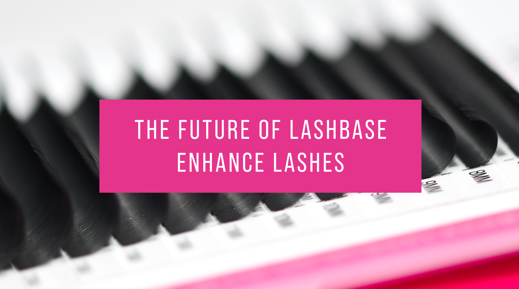 What are Enhance Lashes? LashBase Inc