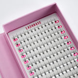 11D Wispy Lashes - LashBase Inc