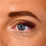 NEW Color Lashes - Burgundy - LashBase Inc