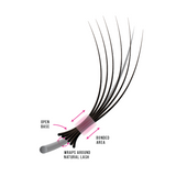 6D Third Generation Volume Fans - LashBase Inc