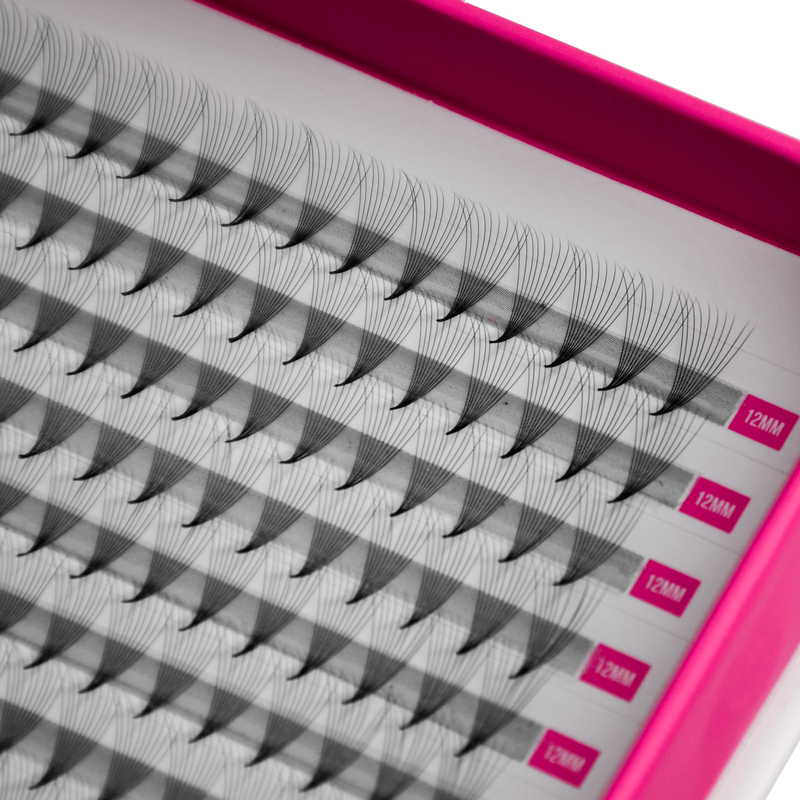 10D Pre Made Mega Volume Fans XXL Tray LashBase Inc