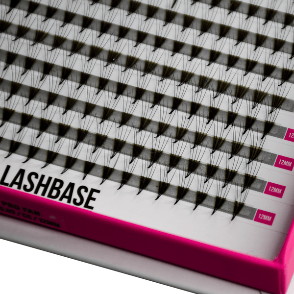 6D Pre Made Volume Fans – XXL Tray - LashBase Inc